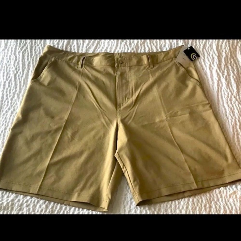 NEW Champion Men’s Beige Casual Shorts Size 40 Dri-wick Stretch Fit Flat Front